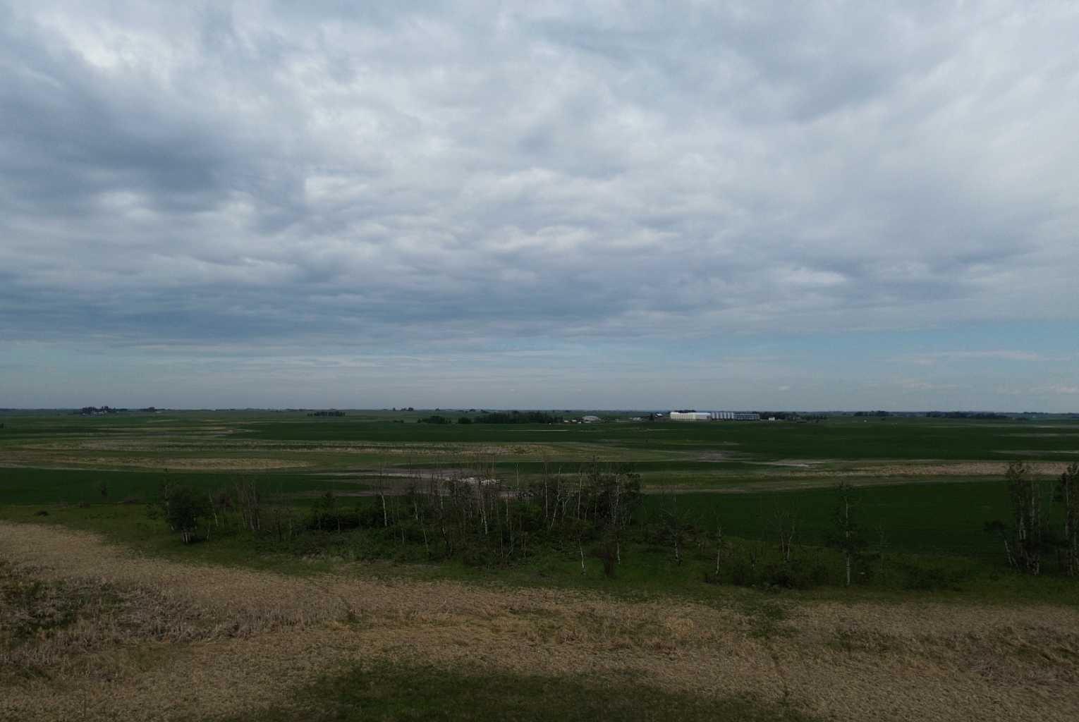 Twp Rd 410, Rural Stettler No. 6 County Of, AB T0B 1H0