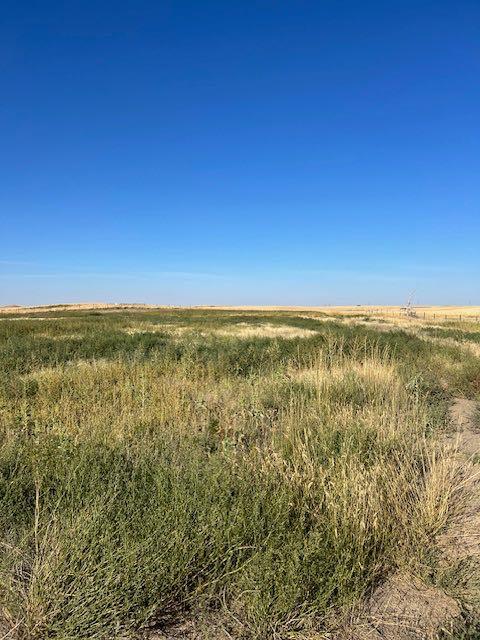 11005 Eagle Butte Rd, Dunmore, AB T1B 0L1