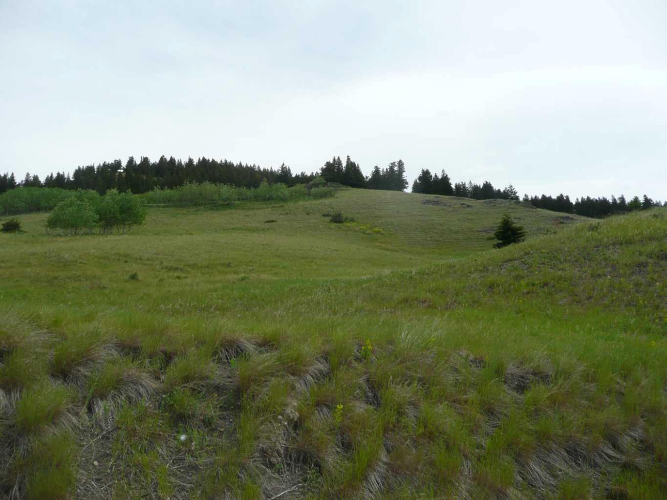 89 Street Unit 2211, Coleman, AB T0K 0M0