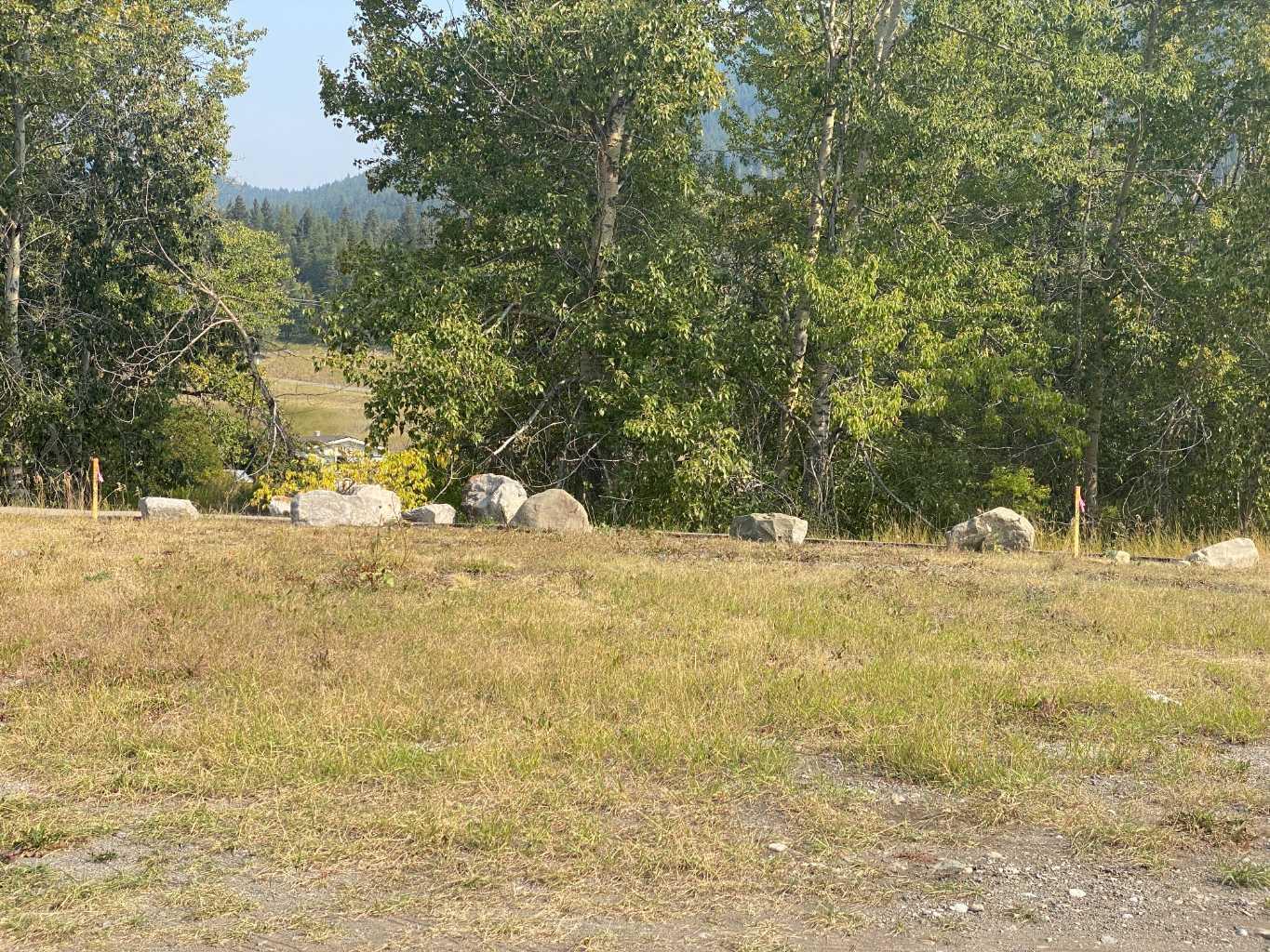 2131 128 St, Crowsnest Pass, AB T0K 0E0