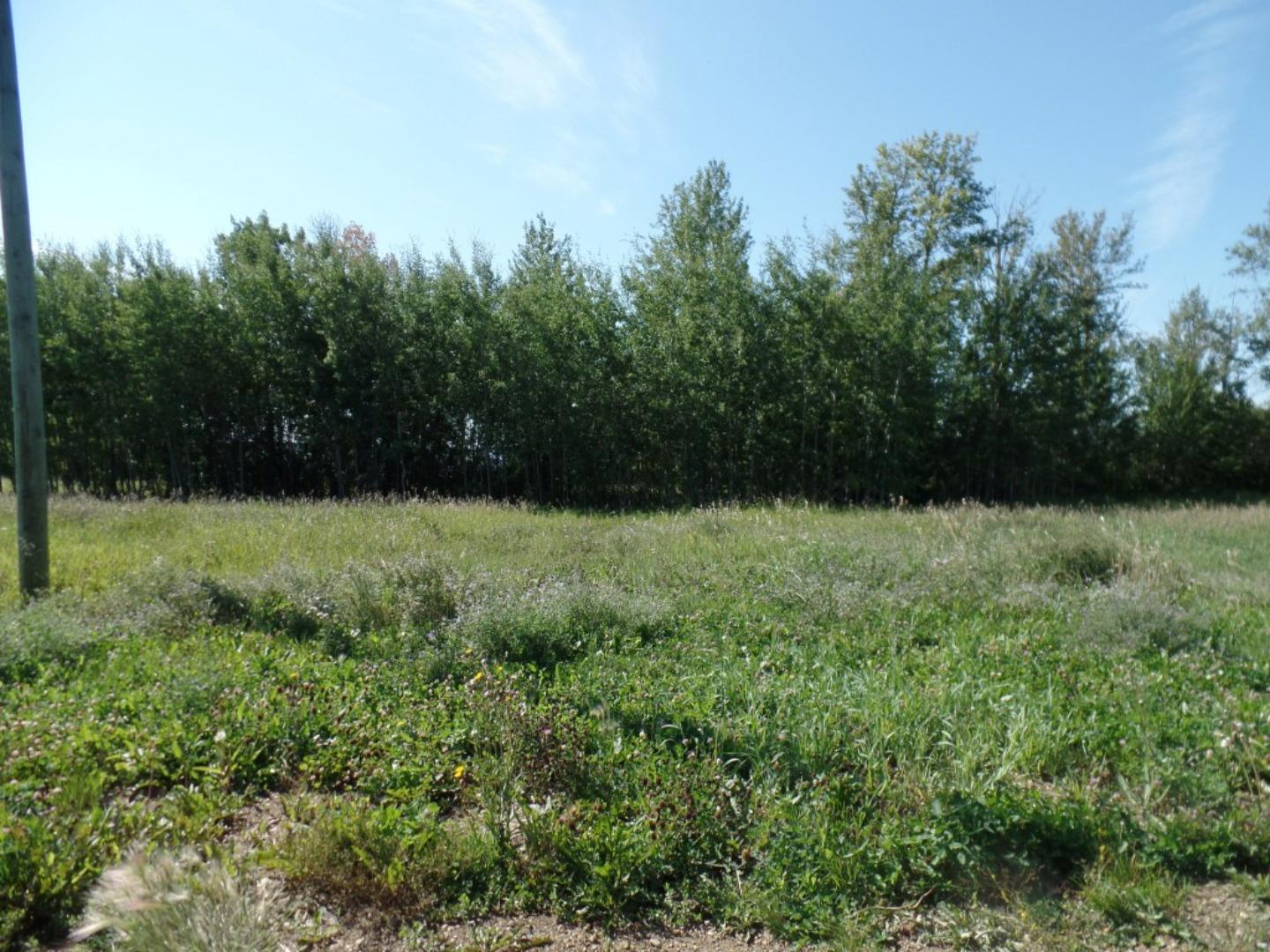 3 Islandview Rd, Lac La Biche, AB T0A 2C1