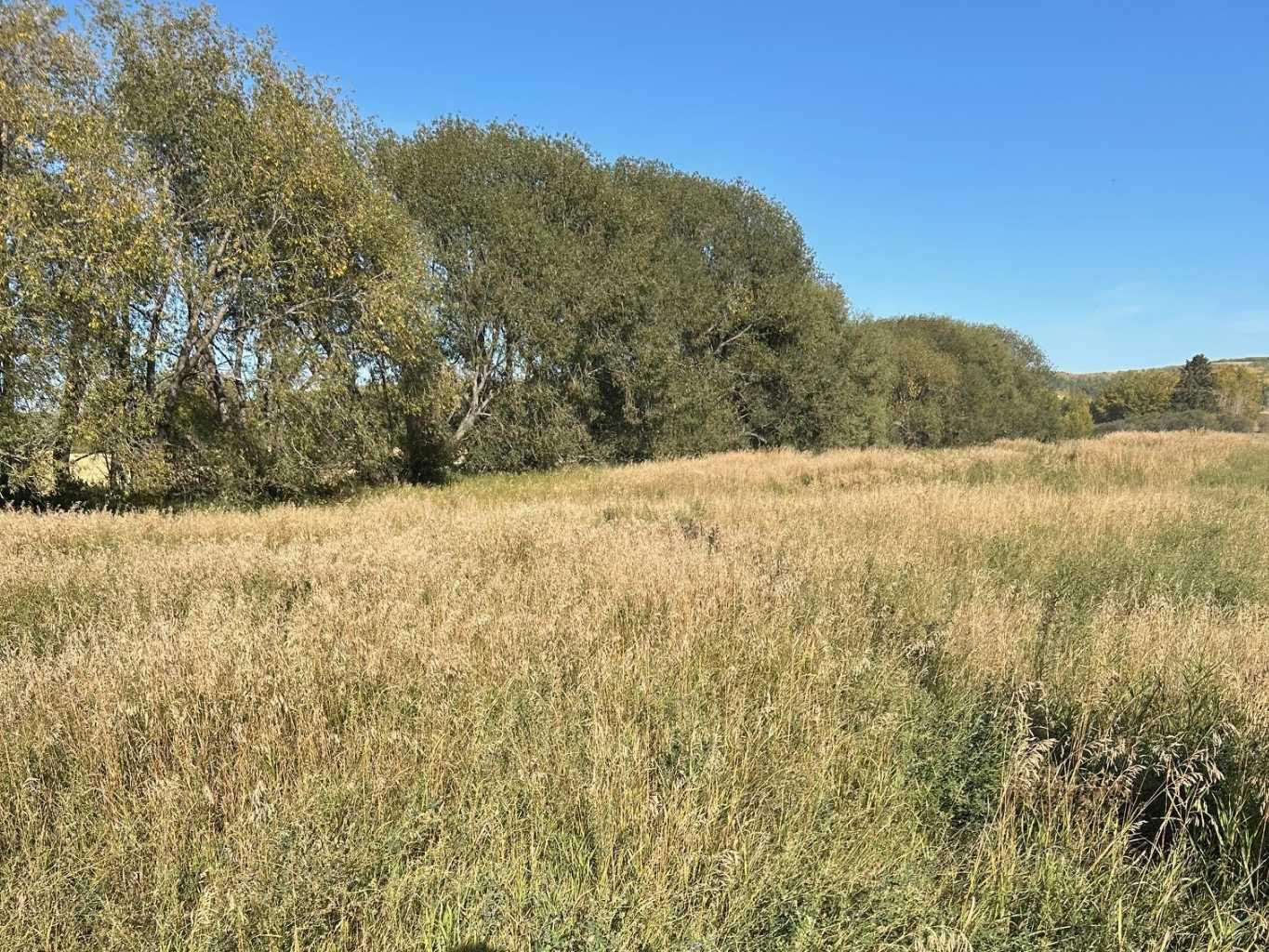 Twship Road 374, Rural Red Deer County, AB T4E 1B3