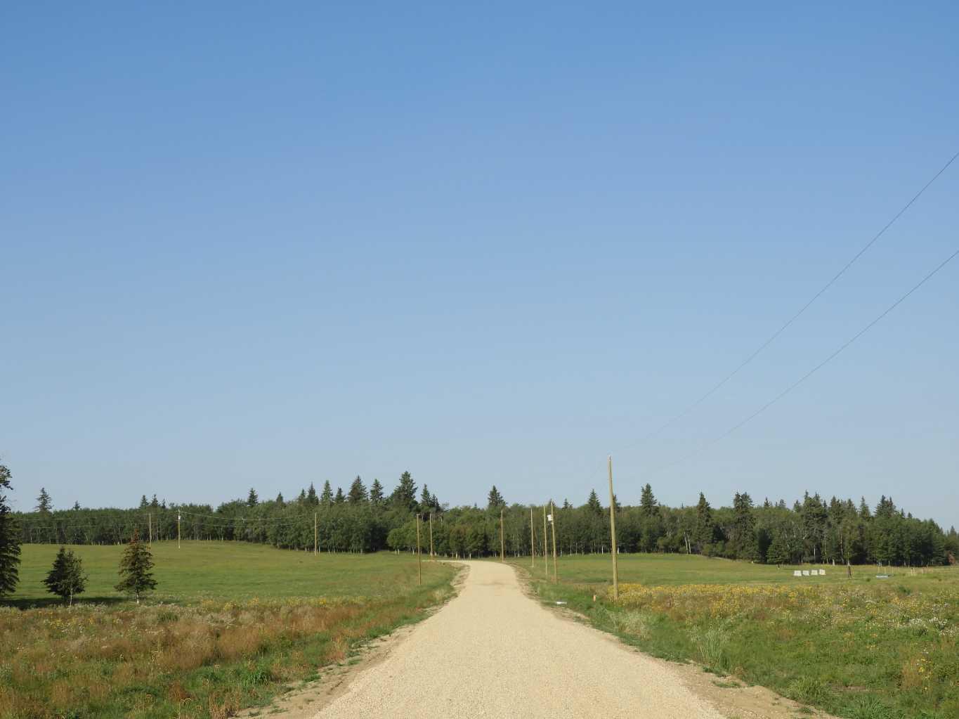 Near Ponoka, Rural Ponoka County, AB T0C 2J0
