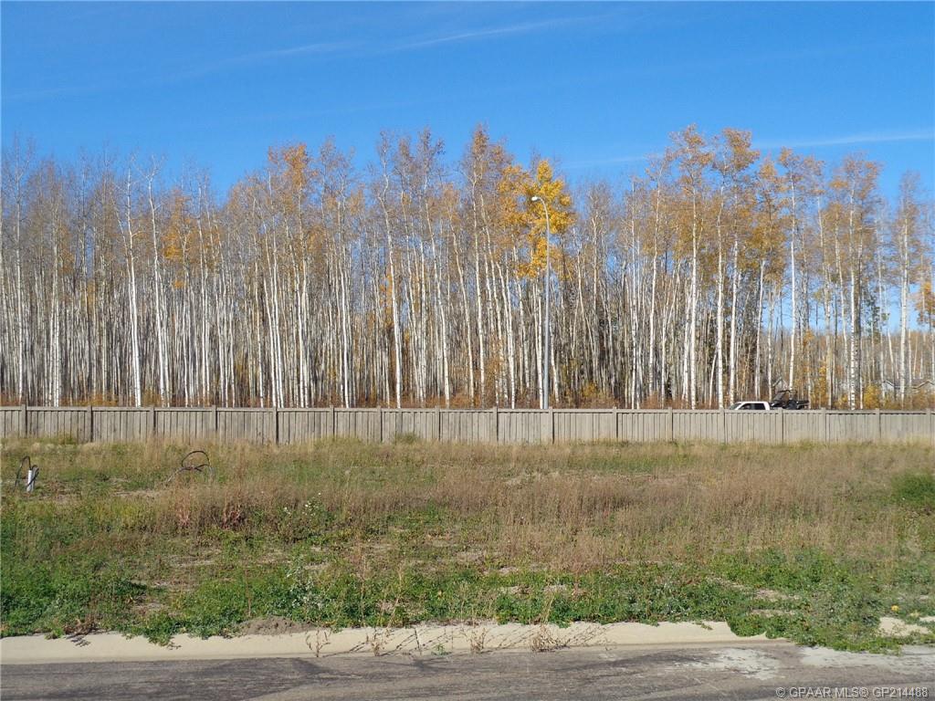 17 Bear Creek Dr, High Level, AB T0H 1Z0