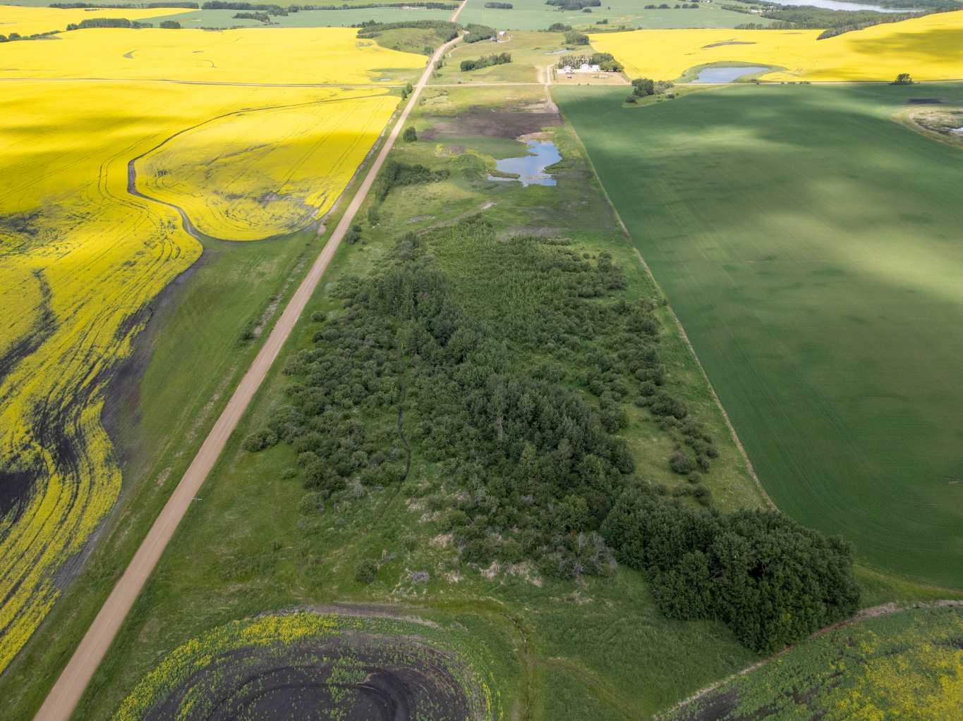 Township Road 440, Rural Camrose County, AB T0B 1M0