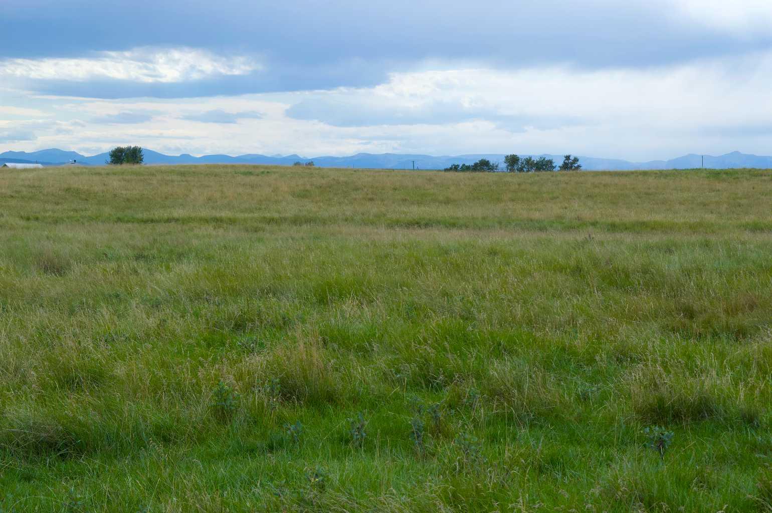 530 Avenue W, Rural Foothills County, AB T0L 1H0
