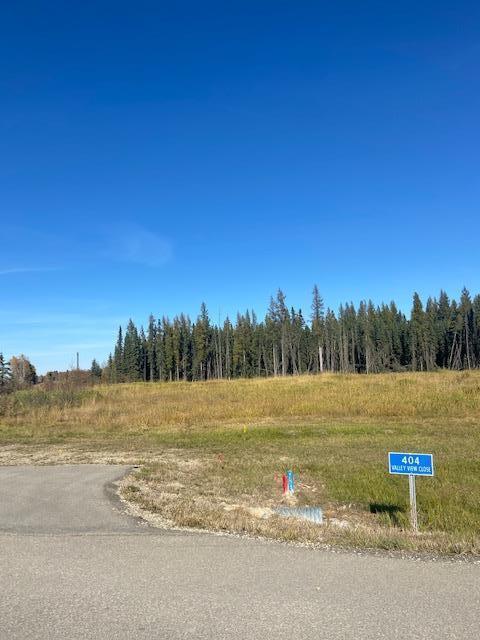 400 Valley View Close, Rural Clearwater County, AB T4T 1A7