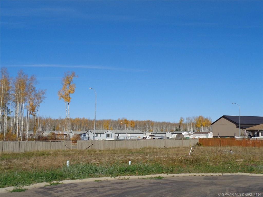 9 Bear Creek Dr, High Level, AB T0H 1Z0