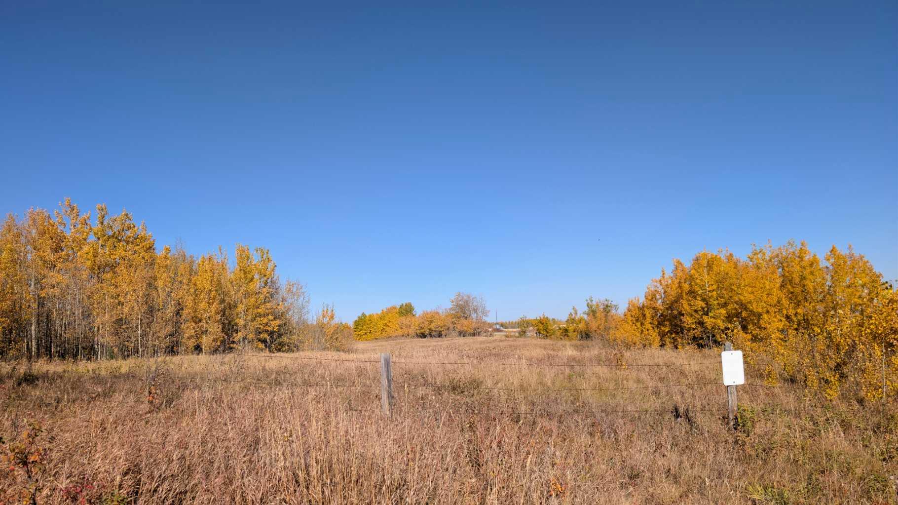 33546 Range Road 34, Rural Mountain View County, AB T0M 0K0