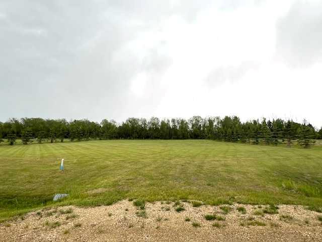 5201 Westview Dr, Rimbey, AB T0C 2J0