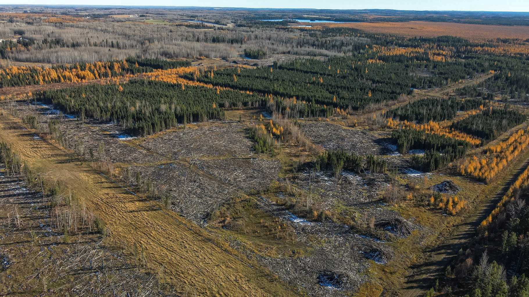 SW 20 53 15 W5, Rural Yellowhead County, AB T7E 1G5