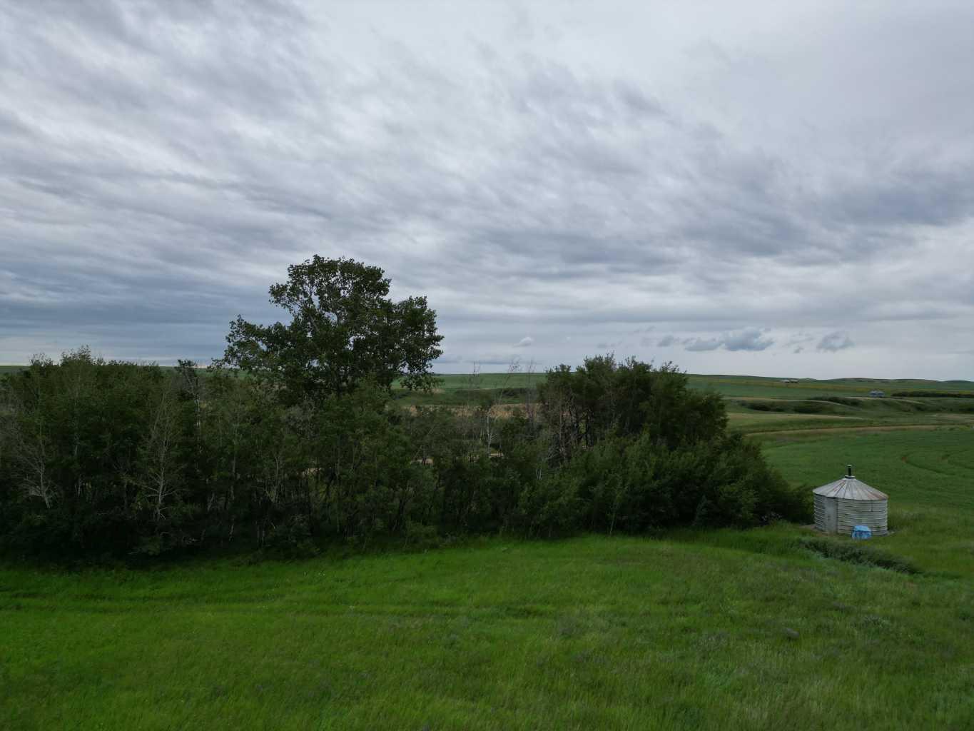 Hwy 9 Rr19-5a Starland County, Rural Starland County, AB T0J 2B0