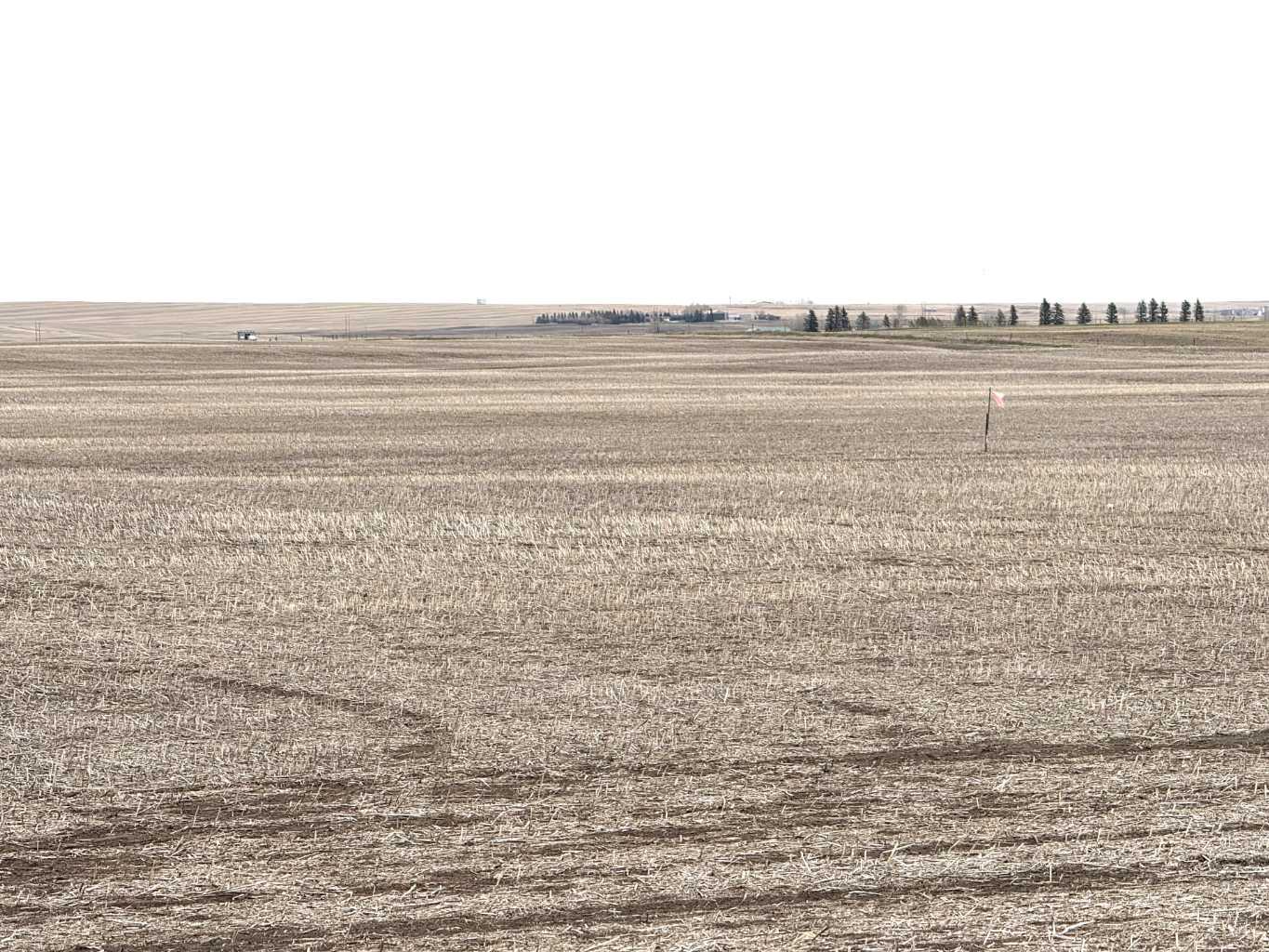 466 Ave E, Rural Vulcan County, AB T0L 0J0