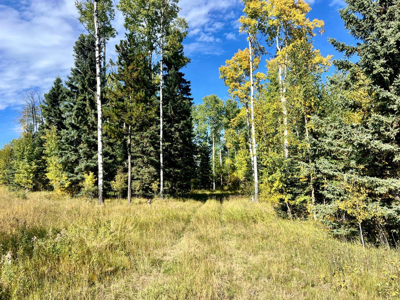 5 Ridgeland Rd, Rural Clearwater County, AB T4T 2A4