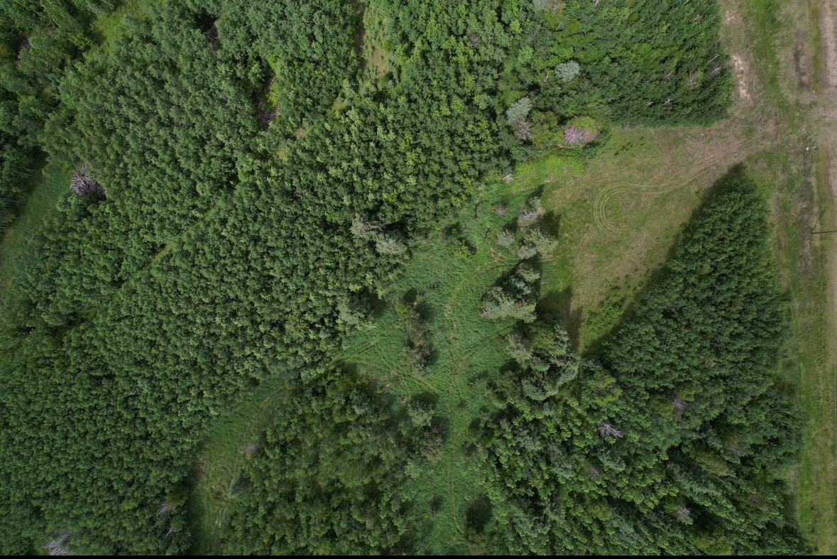 19 Mountain Spgs, Rural Woodlands County, AB T7S 1N3