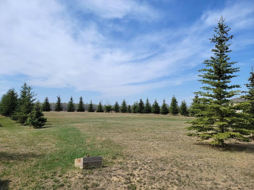 Lot 4 Tower Road, Athabasca, AB T9S 0B8