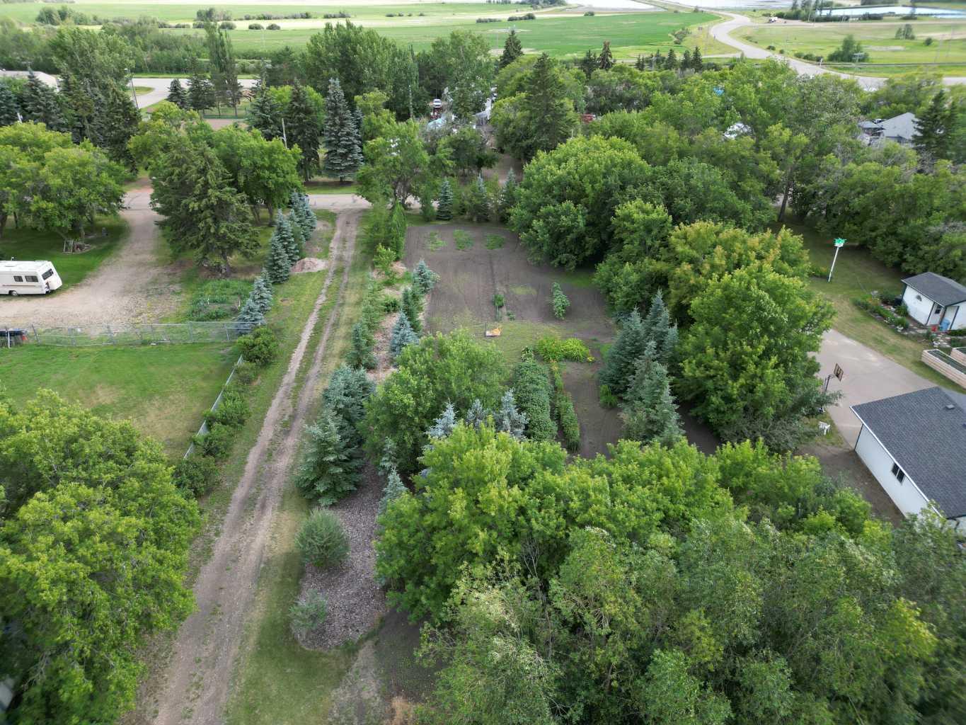 14 Alberta Ave, Erskine, AB T0C 1G0