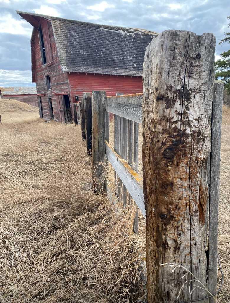 14043 Twp Rd 393, Rural Provost No. 52 M.d. Of, AB T0B 1X0