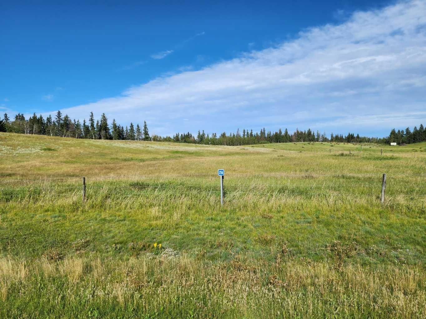 256 Briar Rd, Rural Lacombe County, AB T0M 0J0