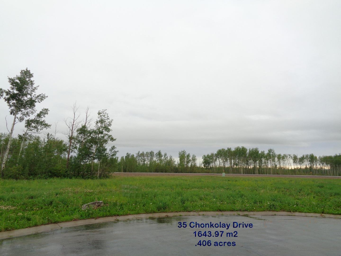 35 Chonkolay Dr, High Level, AB T0H 1Z0