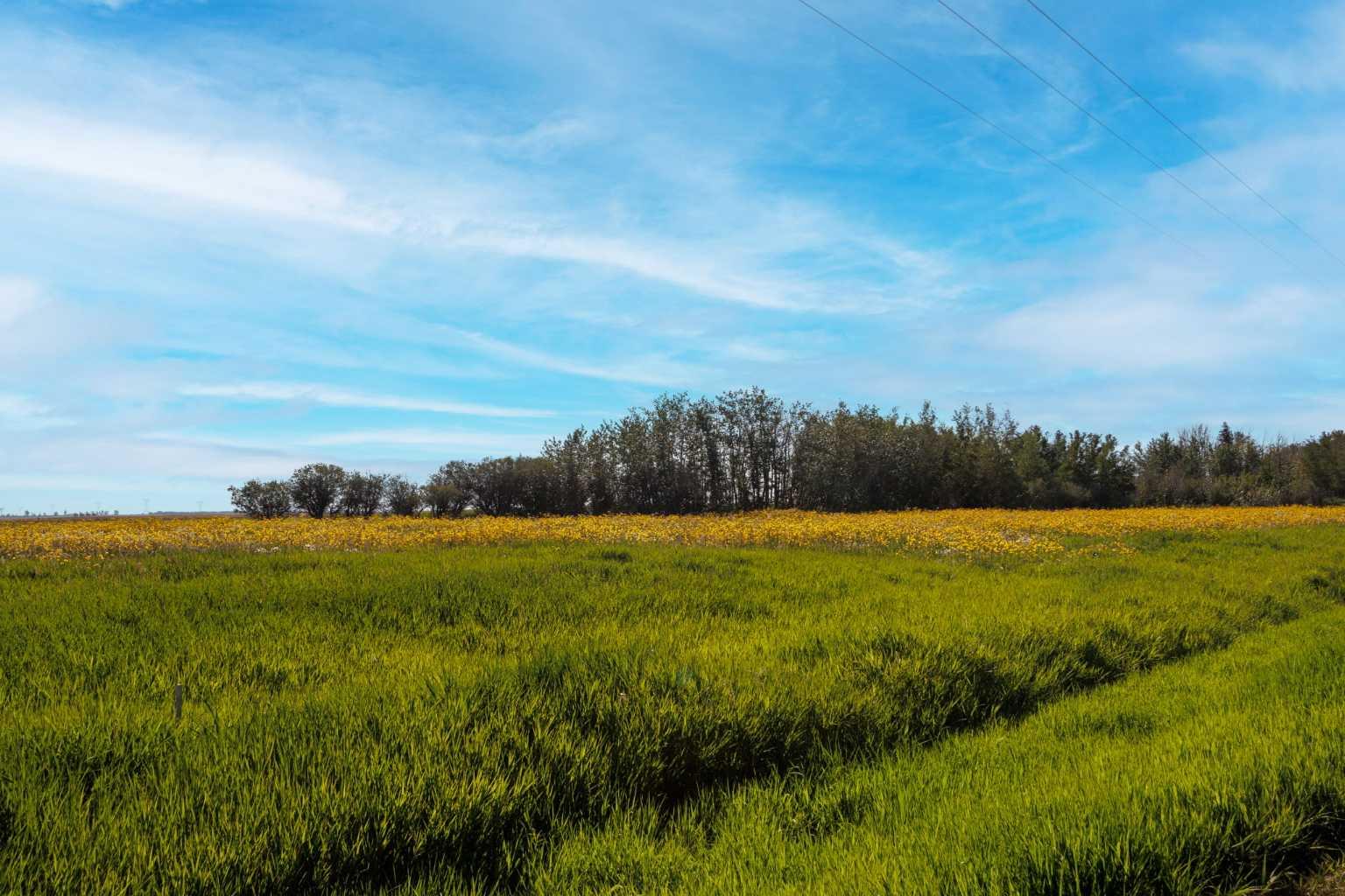 Rge Rd 292, Rural Rocky View County, AB T0M 0S0