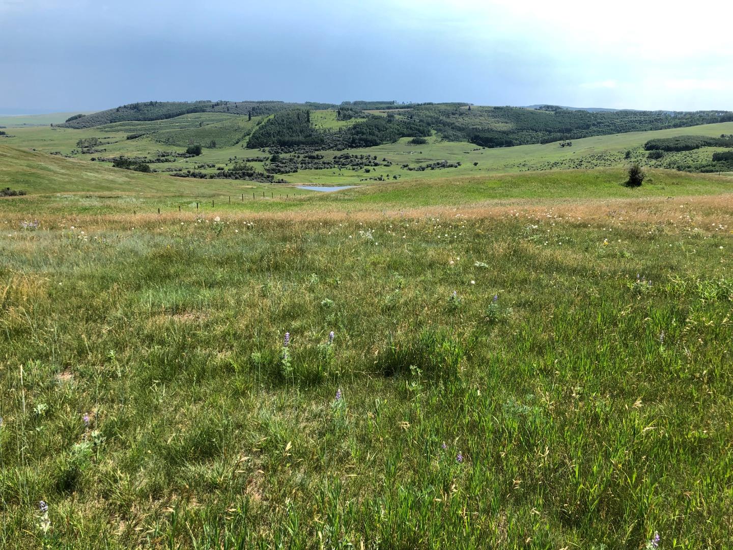 151243 Basin Road, Rural Willow Creek No. 26 M.d. Of, AB T0L 1R0