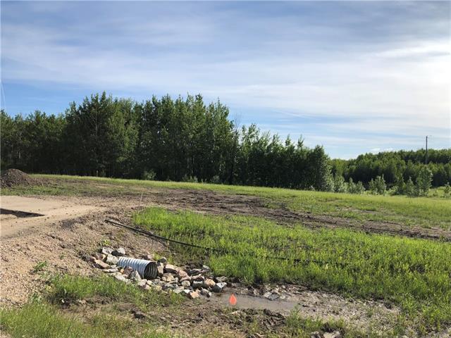 Lot 7 And 8 Campsite Road, Plamondon, AB T0A 2T0