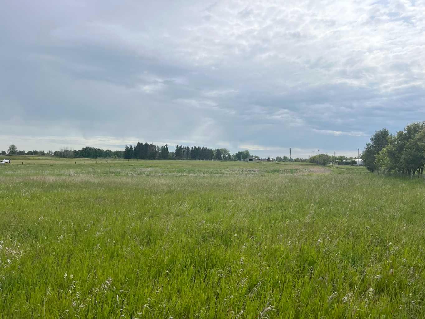 76 Street E Unit 226018, Rural Foothills County, AB T1S 3W2