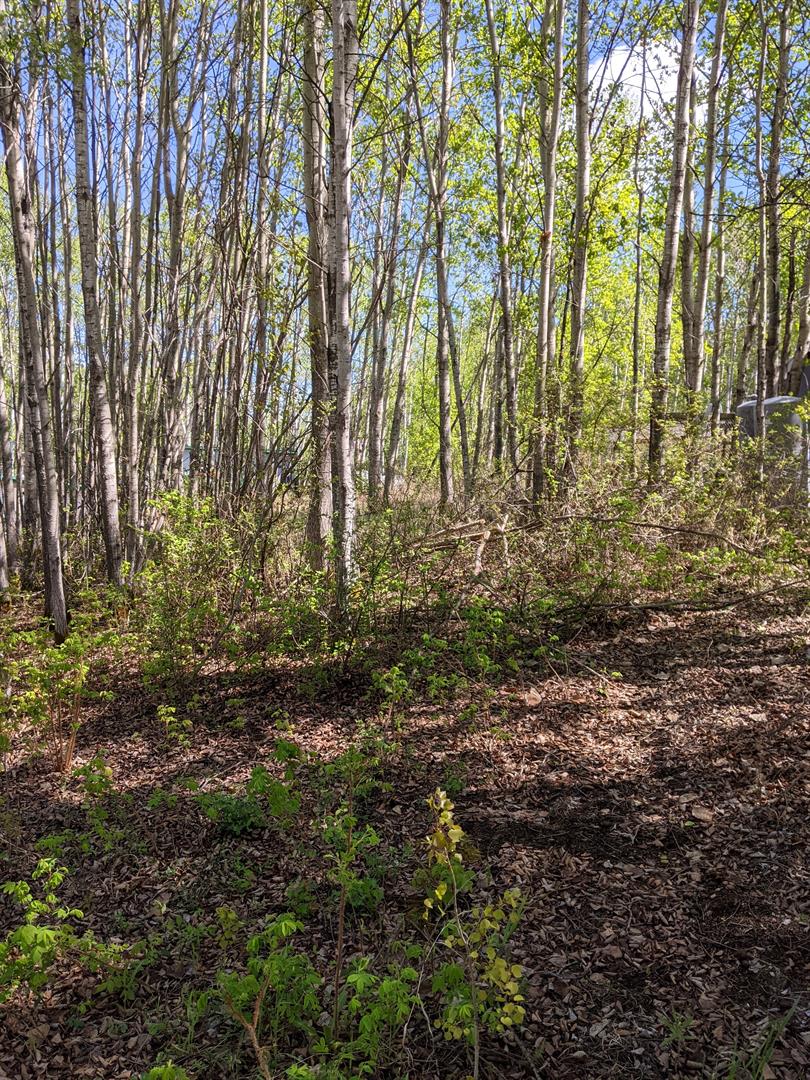 15538 Old Trail Unit 234 Trl #234, Plamondon, AB T0A 2T0