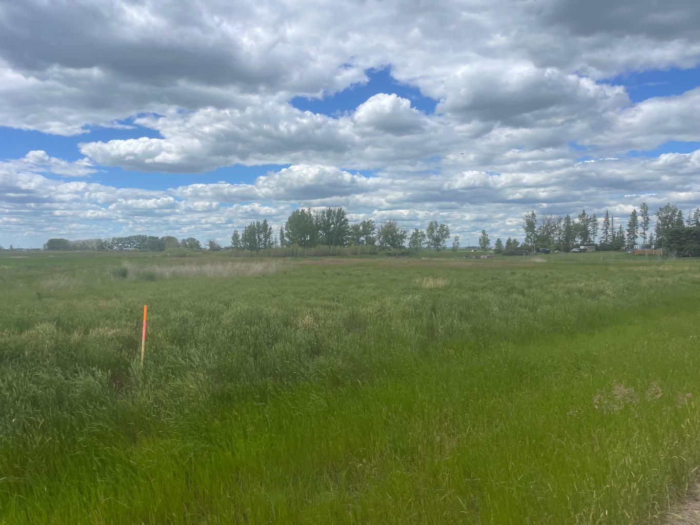 Hwy 550 & Rr155 Rr155, Rural Newell County Of, AB T0J 0B5