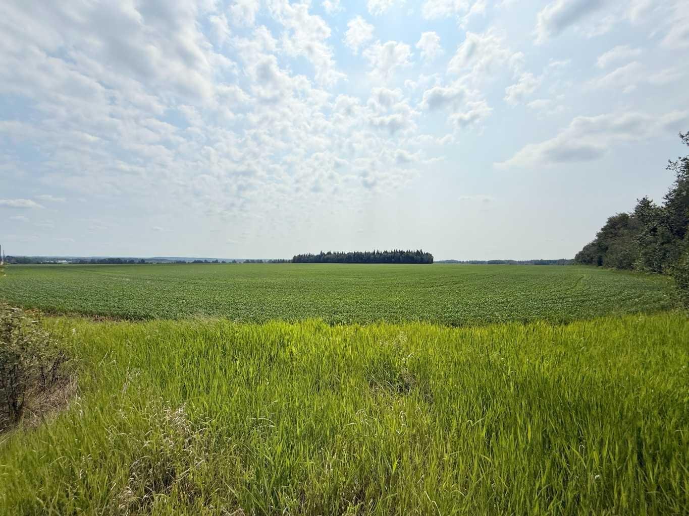 Township Road 663, Rural Athabasca County, AB T9S 1L4