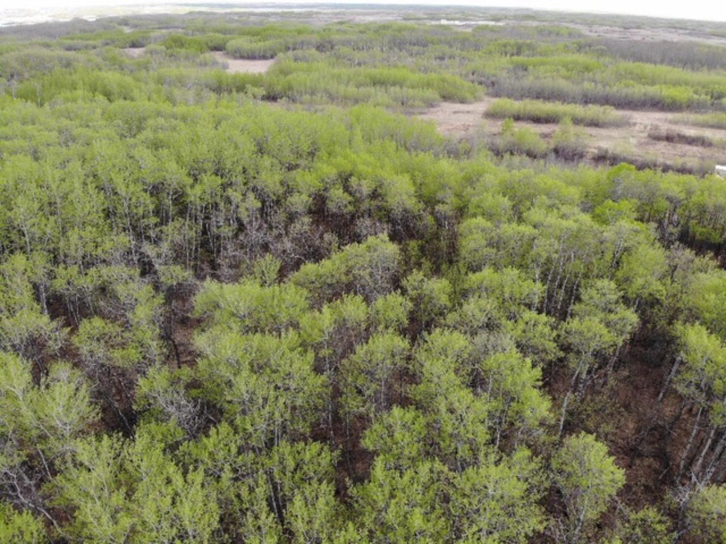 450031 73 Range Unit 25, Rural Wainwright No. 61 M.d. Of, AB T9W 1L5