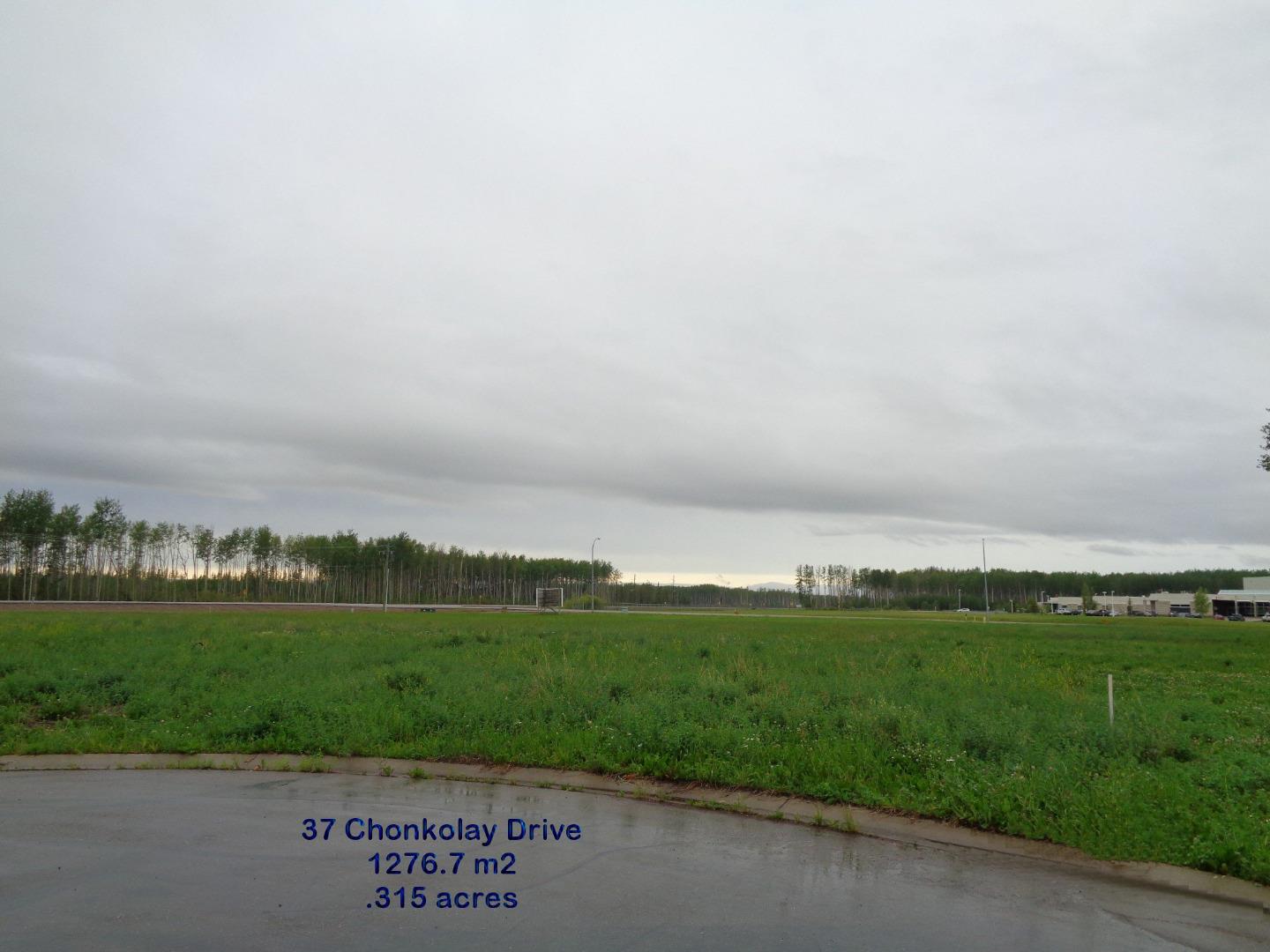 37 Chonkolay Dr, High Level, AB T0H 1Z0