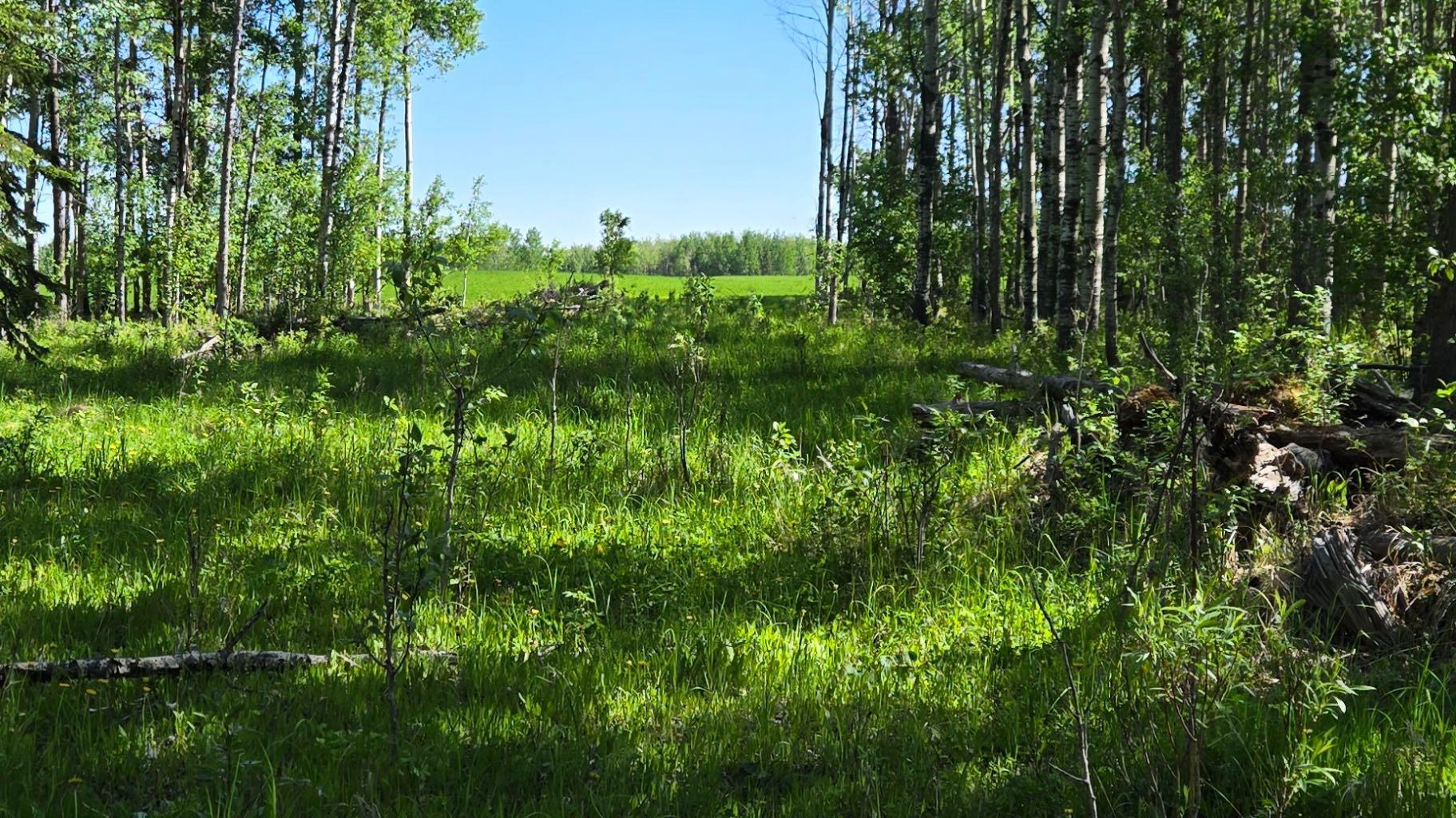 Highway 20, Rural Ponoka County, AB T0C 2X0