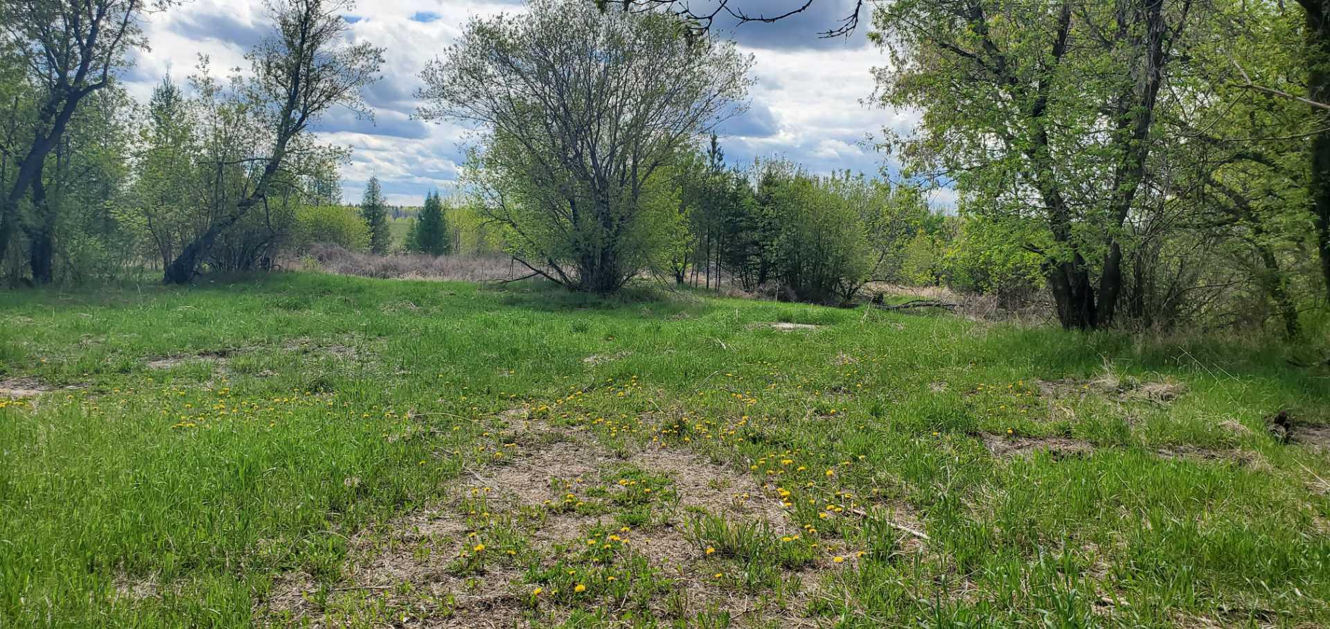 100 Street Unit 8342 #8342, Lac La Biche, AB T0A 2C0
