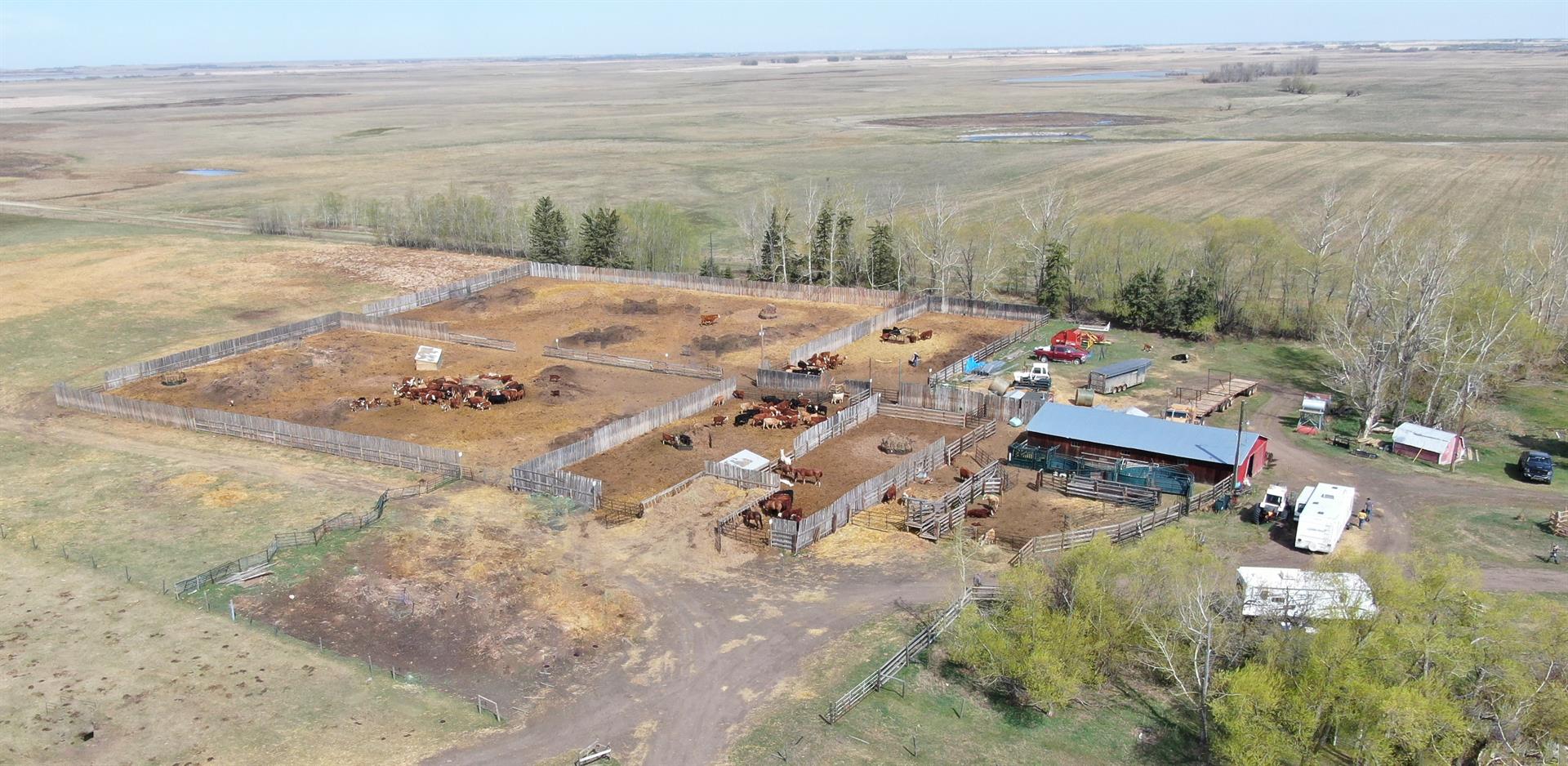 35532 Range Rd 141, Rural Paintearth No. 18 County Of, AB T0X 0X0