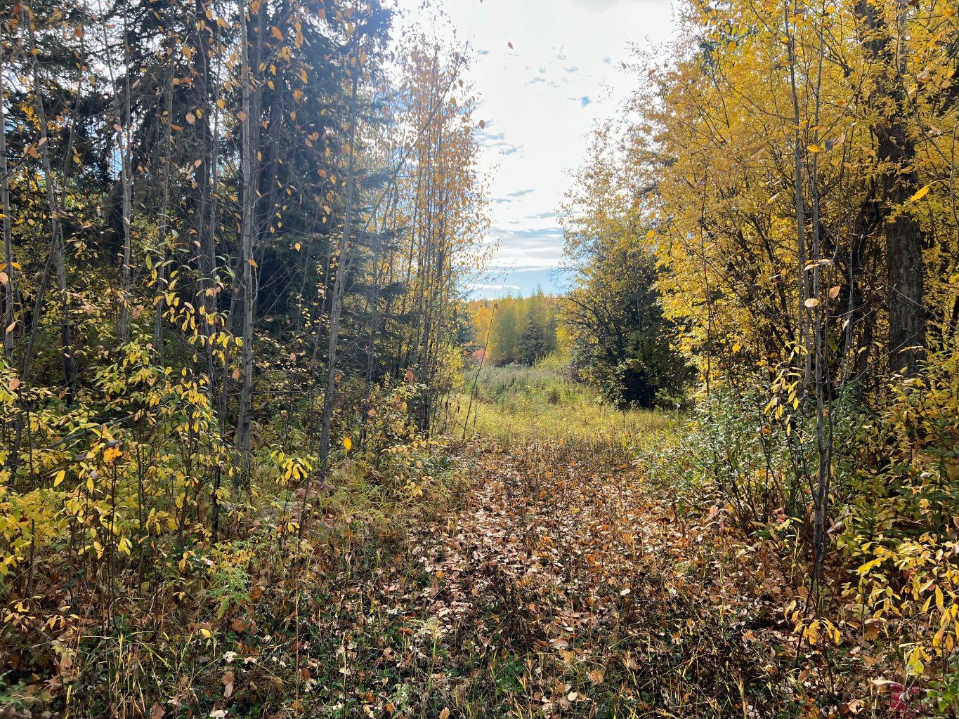 704010 Range Rd 64 #21, Rural Grande Prairie No. 1 County Of, AB T0H 1X0
