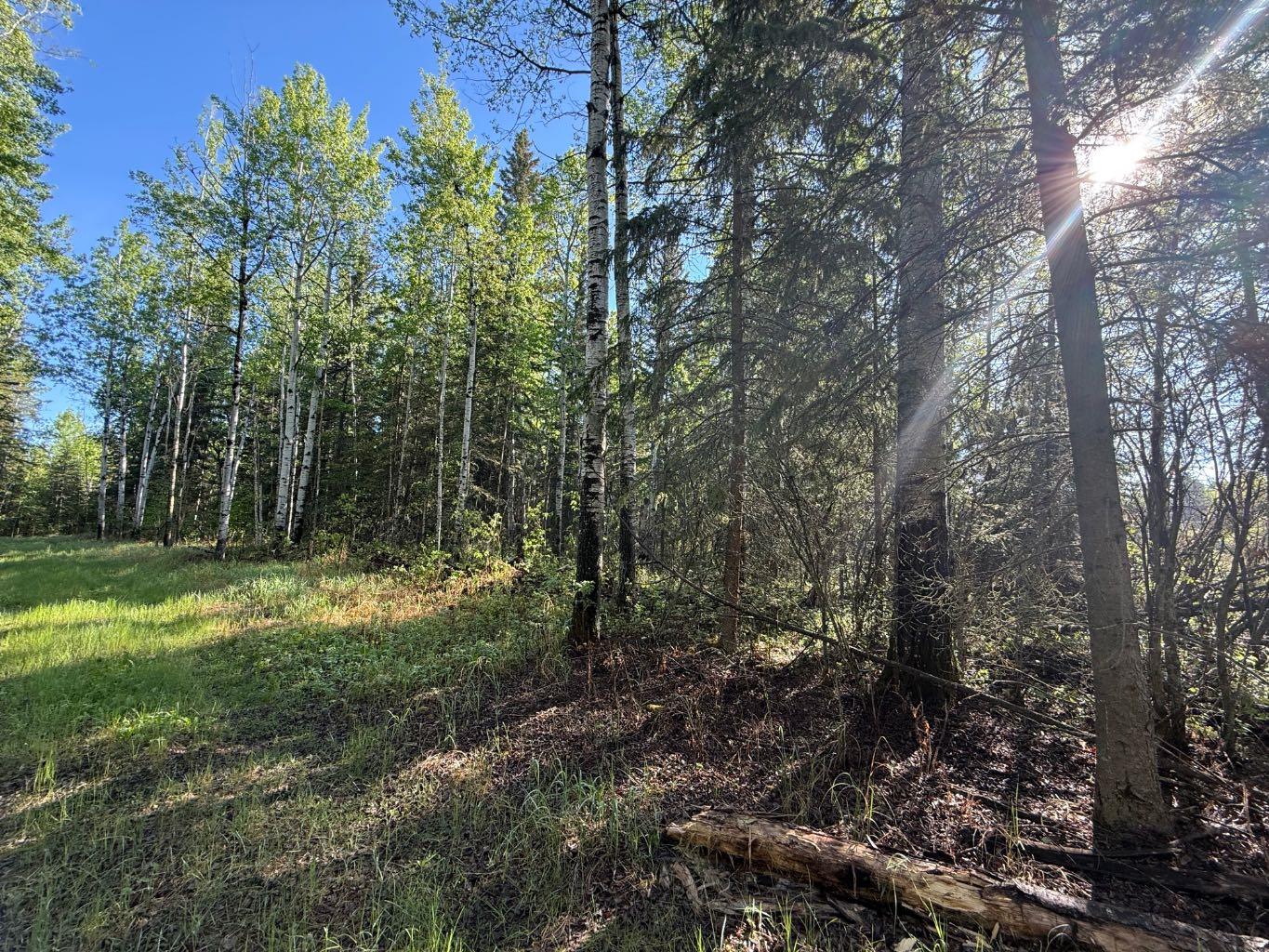 Township Road 640, Perryvale, AB T0G 0R0