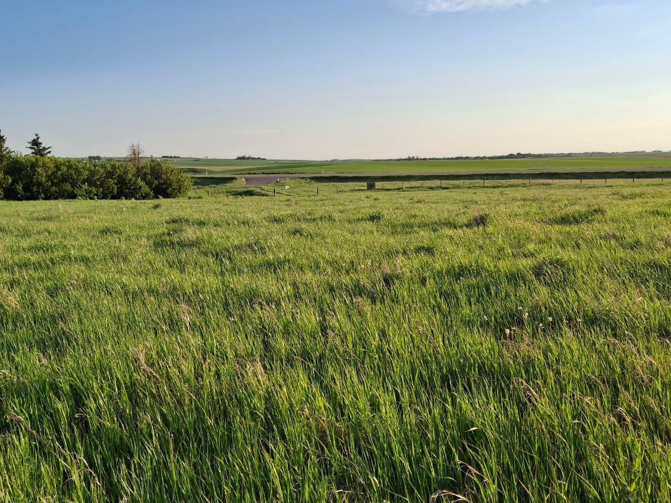 Hwy 21, Rural Wheatland County, AB T1P 1K7