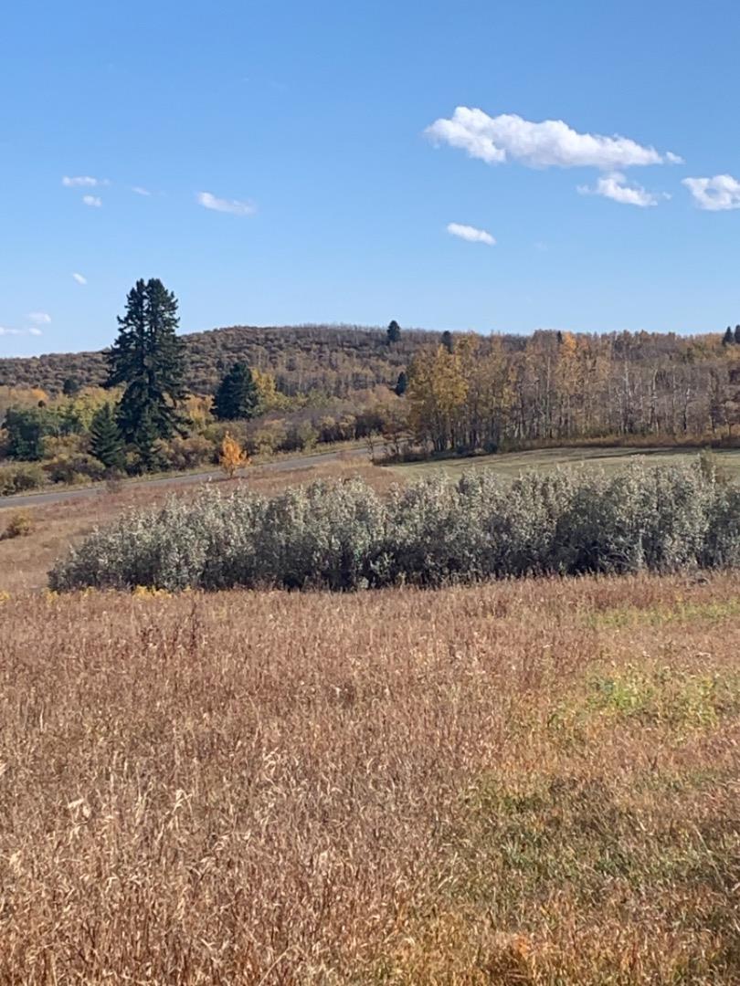 16 Red Willow Ct W, Rural Foothills County, AB T2X 0X0