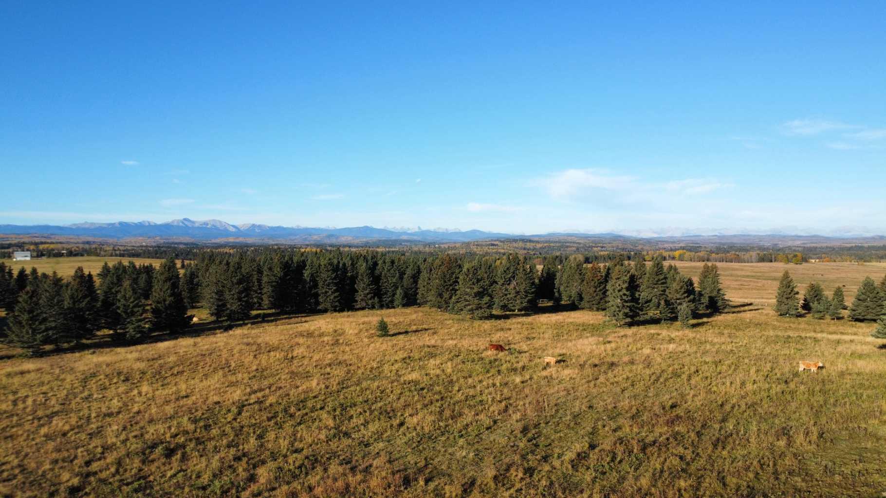 NE-17-24-04-w05m, Rural Rocky View County, AB T3Z 0B8