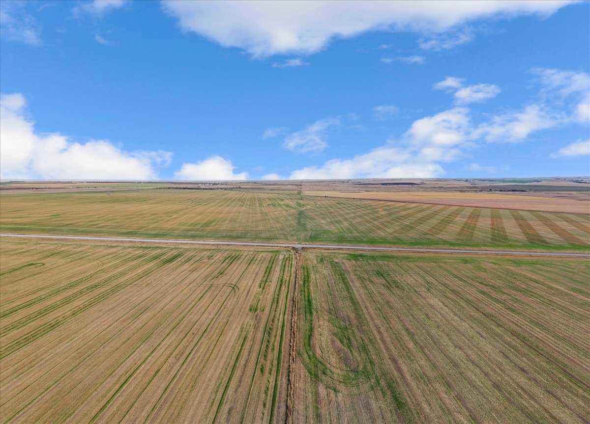 , Rural Vulcan County, AB T0L 1P0