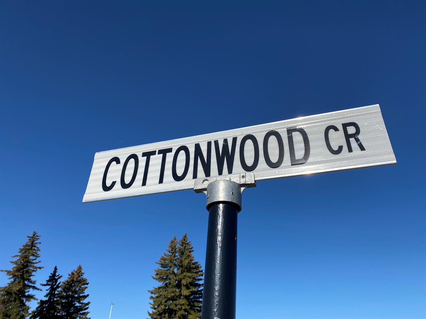19 Cottonwood Cres, Rosemary, AB T0J 2W0