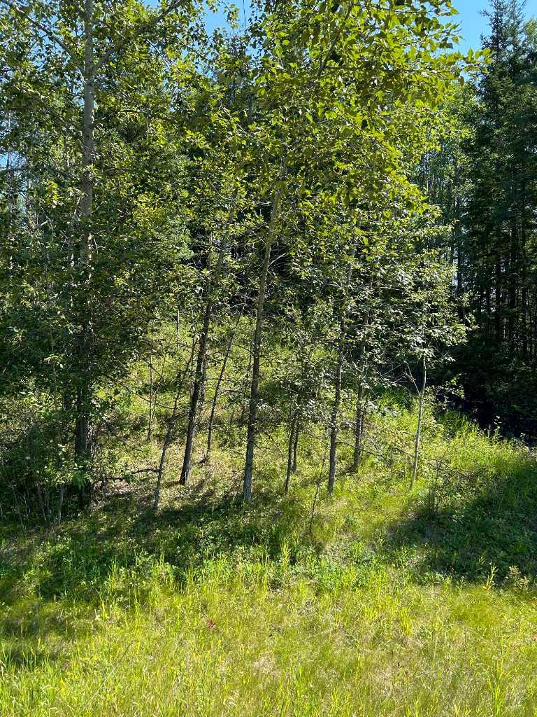 Lot R3 Westridge Road, Rural Woodlands County, AB T7S 1P8