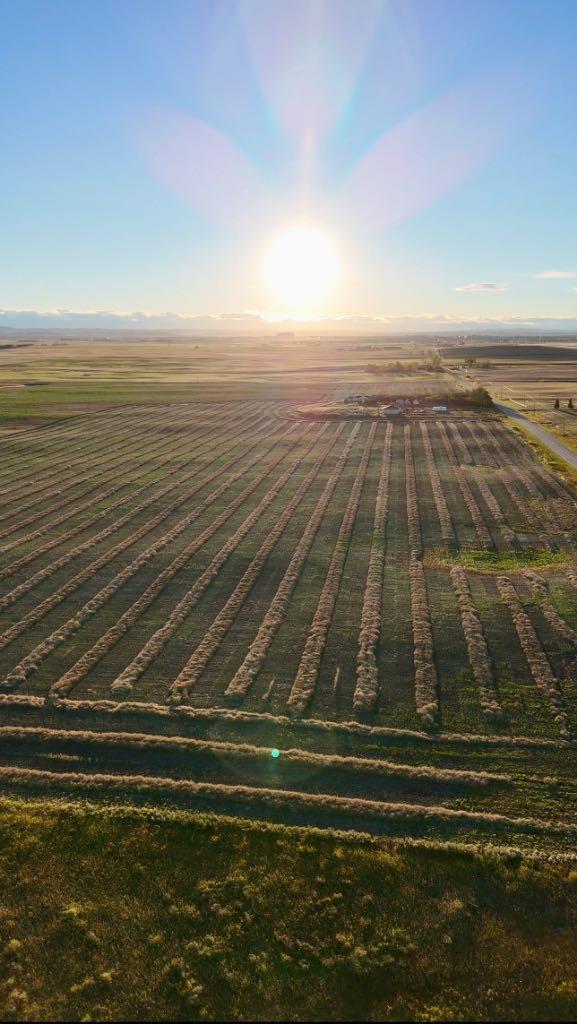 284199 Township Road 224, Rural Rocky View County, AB T1X 0J6