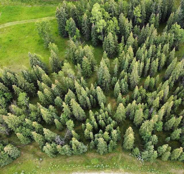 2 Juniper Rdg, Rural Yellowhead County, AB T7V 1X7