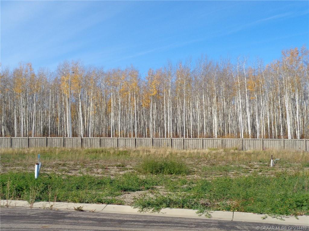 19 Bear Creek Dr, High Level, AB T0H 1Z0