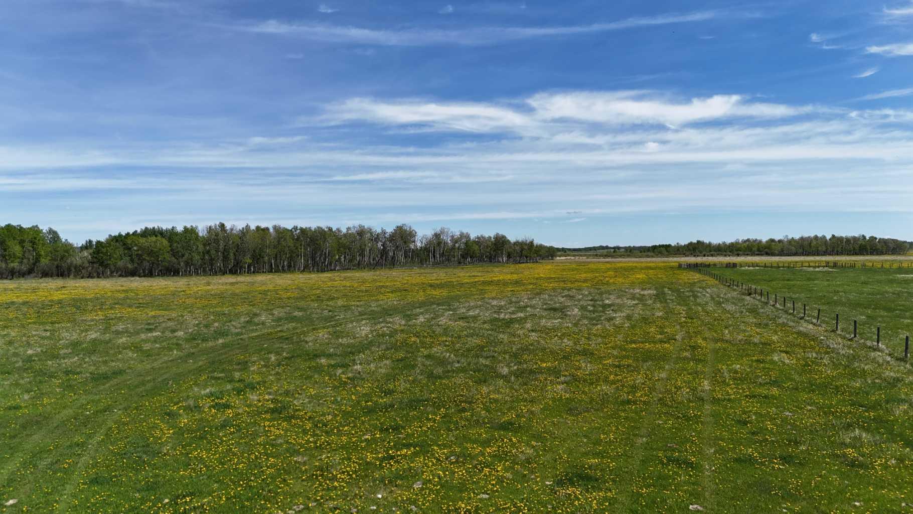 On Range Road 11, Rural Red Deer County, AB T4S 1Z7