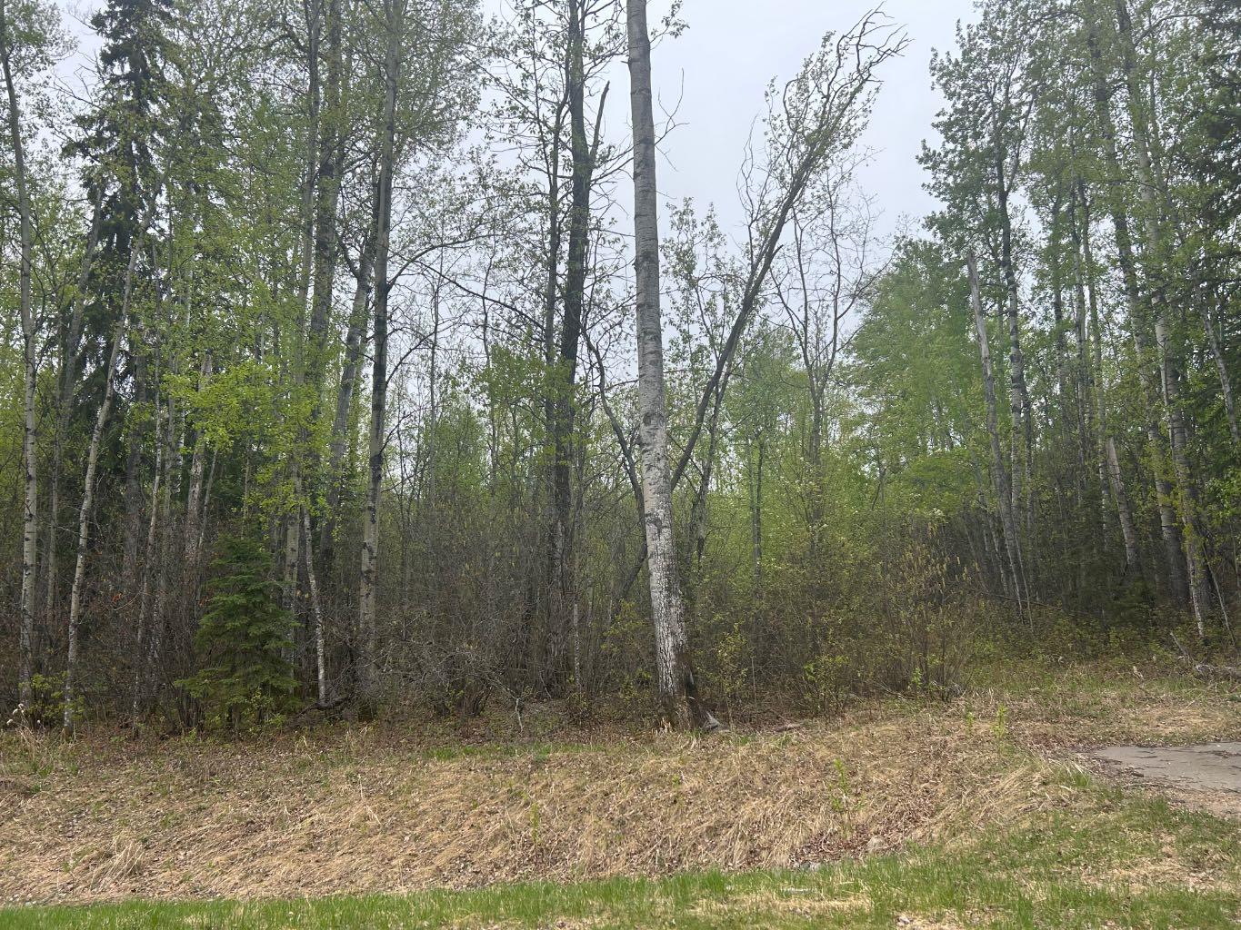 123 Poplar Drive Rr Dr, Conklin, AB T0P 1H0