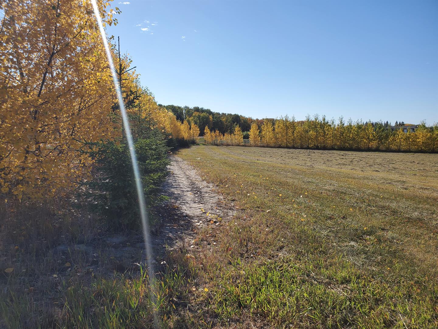 68126 Campsite Rd, Plamondon, AB T0A 2T0